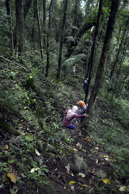 &#91;CATPER&#93; Treking Ringan ke Air Terjun SEKEPER Lombok Utara