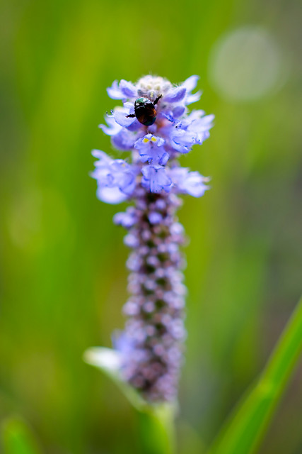 kavling-fujifilm---part-3