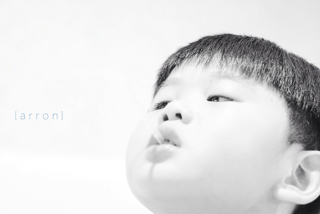 new-pendopo-sony-alpha