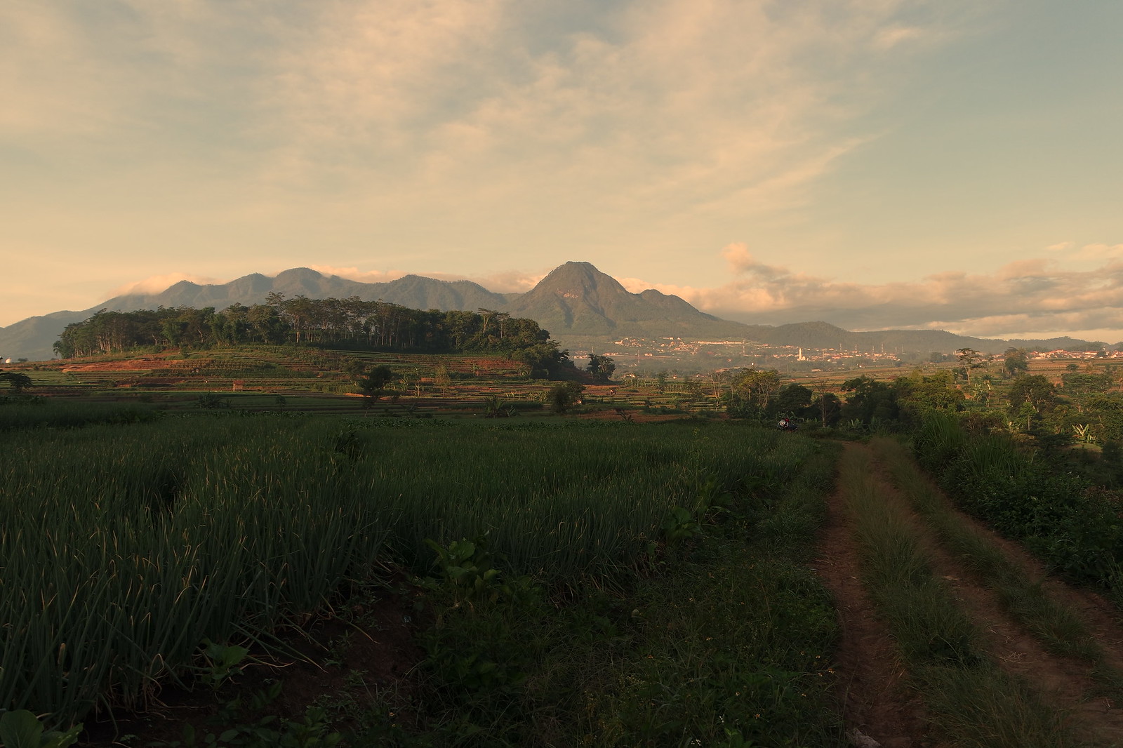 surga-di-lereng-gunung-arjuna-pesona-keindahan-desa-torongrejo