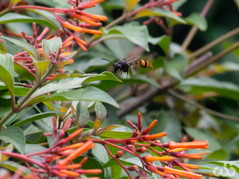 rumah-olympus---part-3