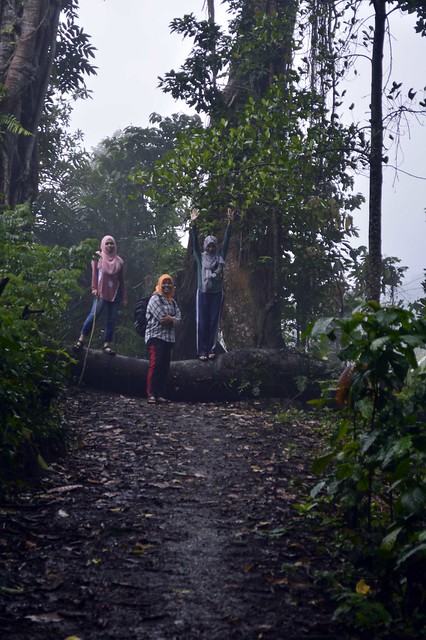 &#91;CATPER&#93; Treking Ringan ke Air Terjun SEKEPER Lombok Utara