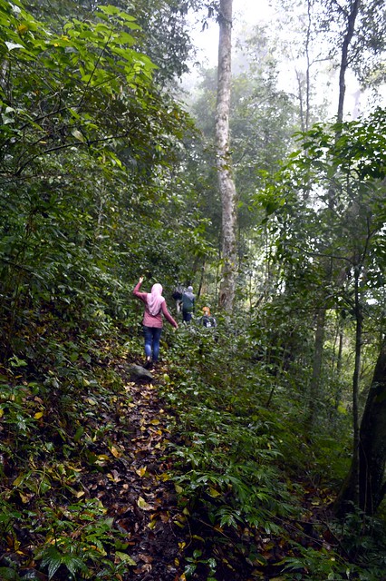 &#91;CATPER&#93; Treking Ringan ke Air Terjun SEKEPER Lombok Utara