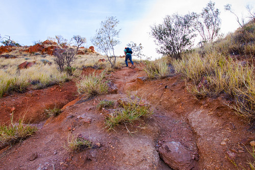 (BWK) Pengalaman Mendaki Mount Gillen ( Light Hiking) 