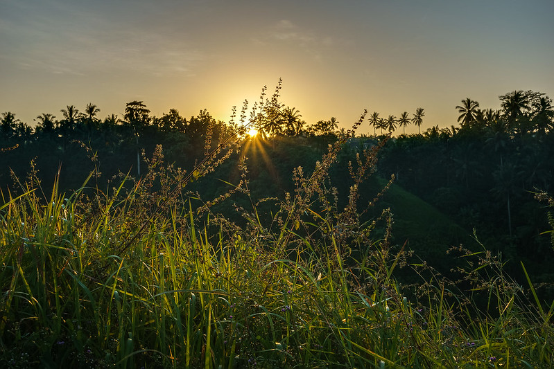 sf-photography-image--video-gallery-share-your-best-shot-here-read-1-post-first