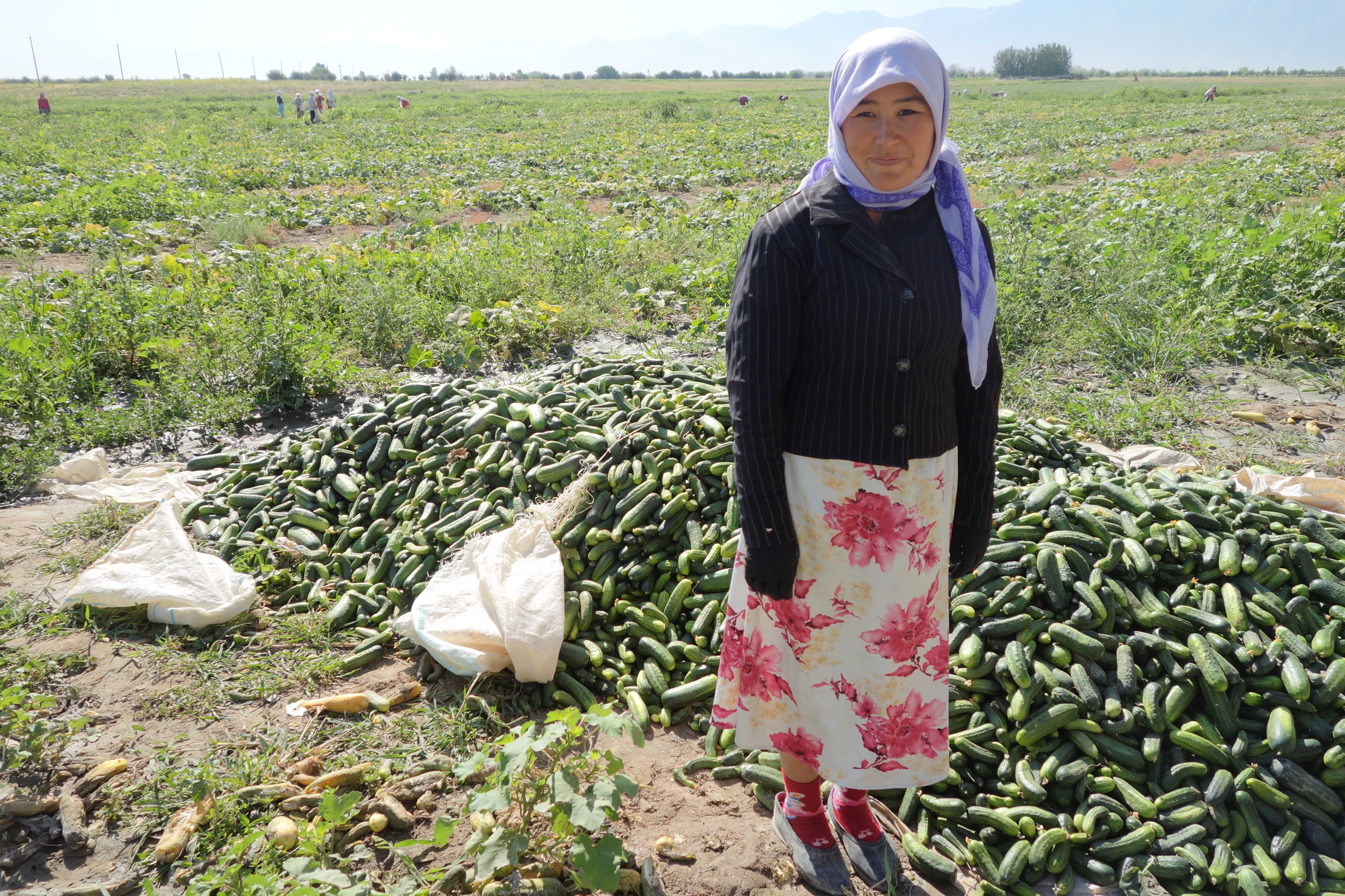 Simak Daftar Negara Penghasil Bawang Putih Terbesar di Dunia