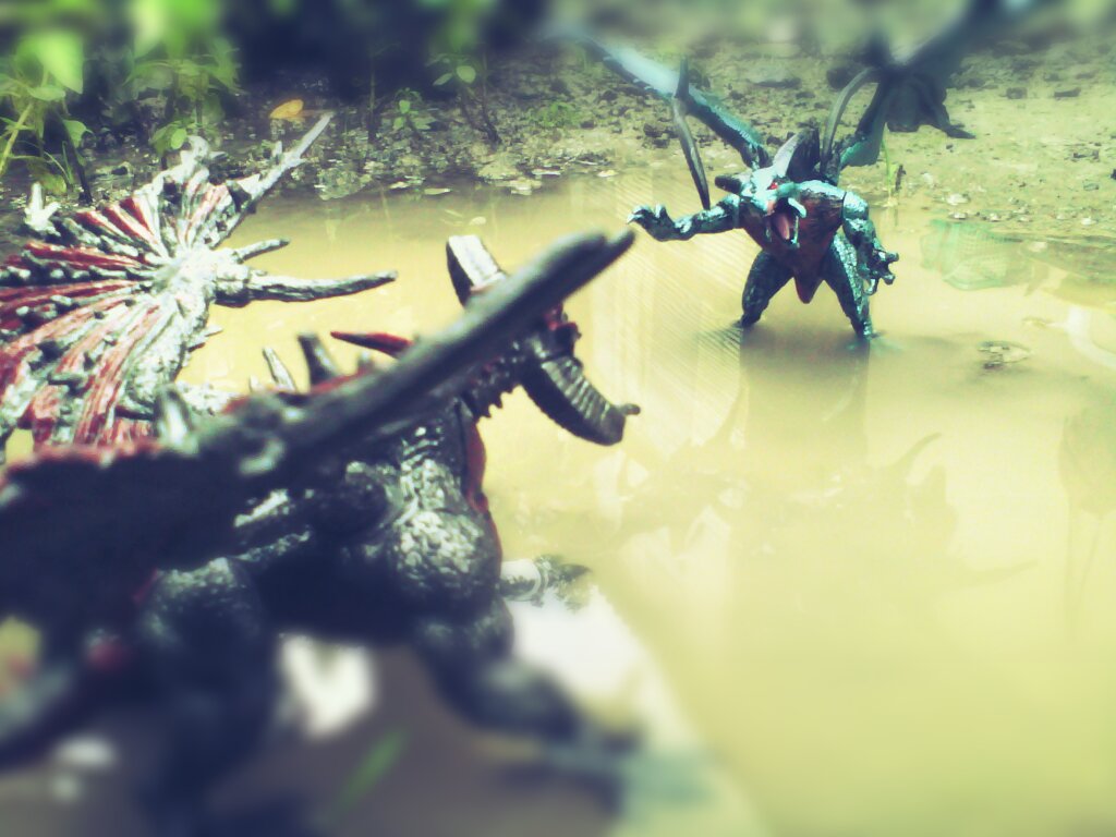 nongkrong-bareng-kamera-henpon