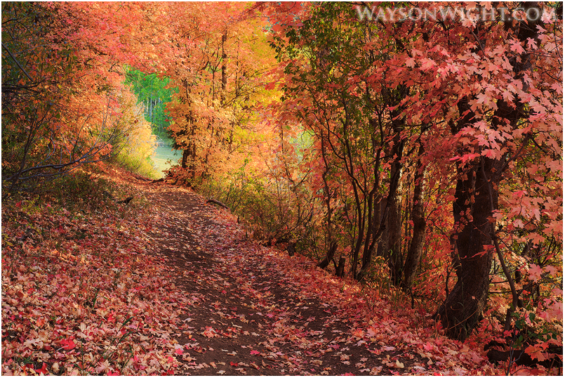 &#91;pict&#93; Pemandangan Alam Yang INDAH...!!!