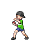 Pekerjaan atau jenis Pokemon Trainer yang ada di game Pokemon seri utama 