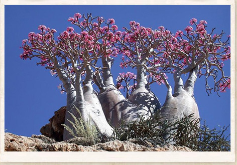 10 Tempat Teraneh Di Dunia