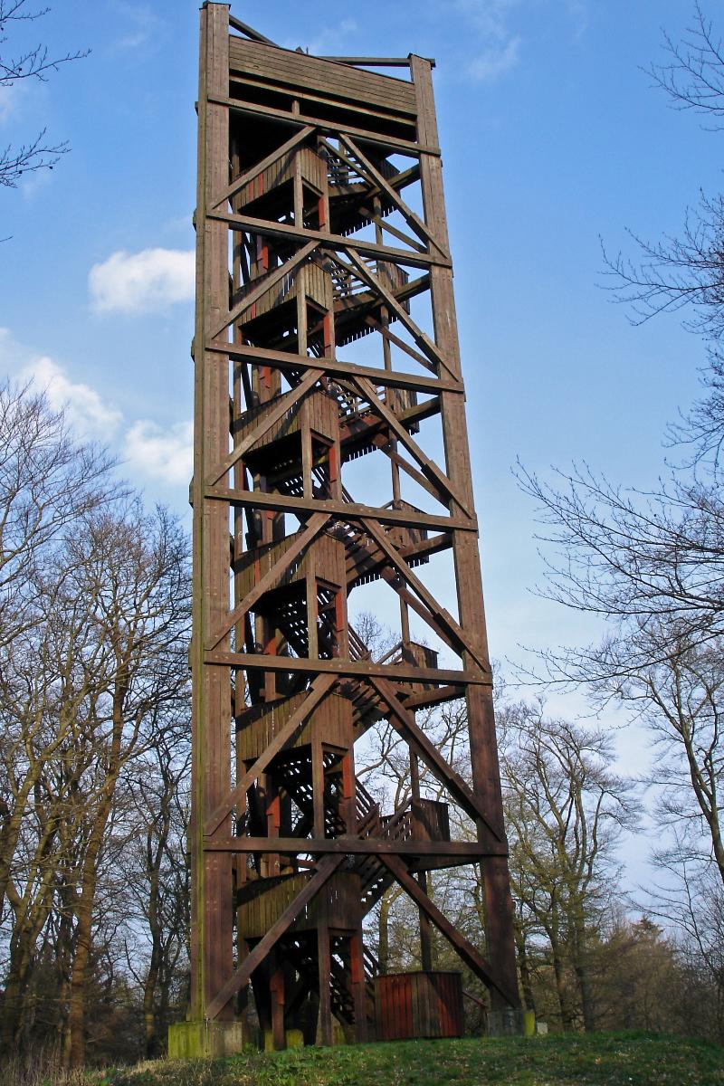 Menara Pencakar Langit dari Kayu