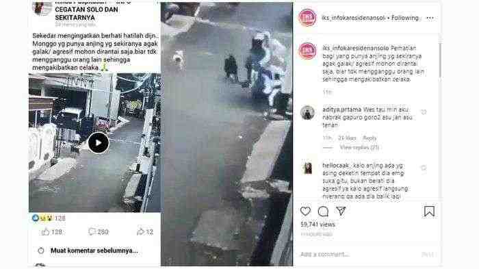 viral-pemotor-bawa-bayi-jatuh-akibat-dikejar-anjing-ini-himbauan-pet-lovers