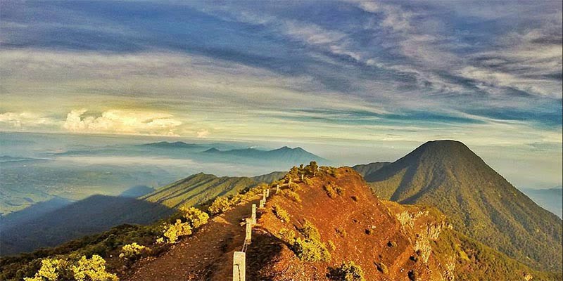 Gubuk Tua di Tengah Hutan