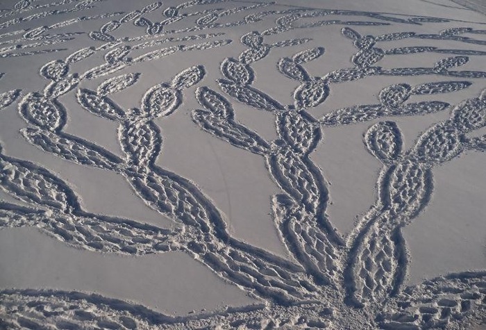 Menakjubkan, Crop Circle di Padang Salju