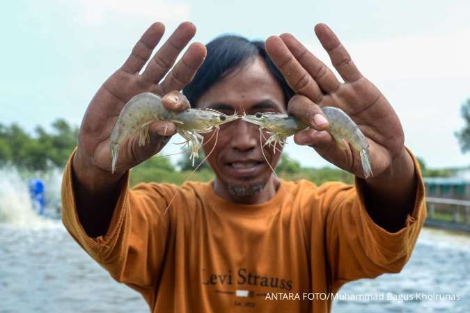 Isu Radioaktif Hantam Industri Udang, Harga Anjlok hingga 30%