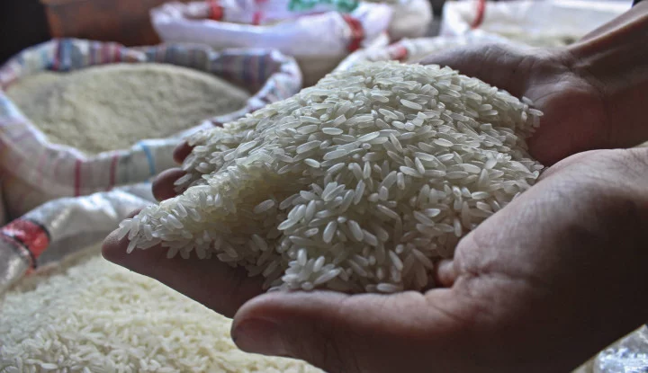 impor-beras-36-juta-ton--keterlibatan-china-di-food-estate-menujukan-buruknya