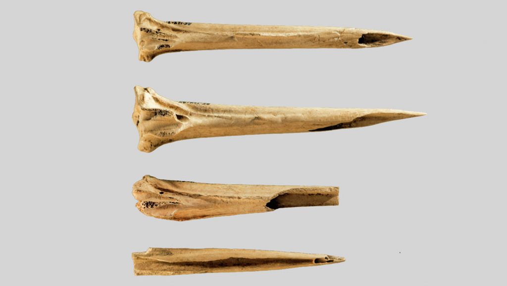 alat-tato-zaman-dulu-ditemukan-di-situs-kuno-tennessee-ternyata-berupa-tulang-kalkun