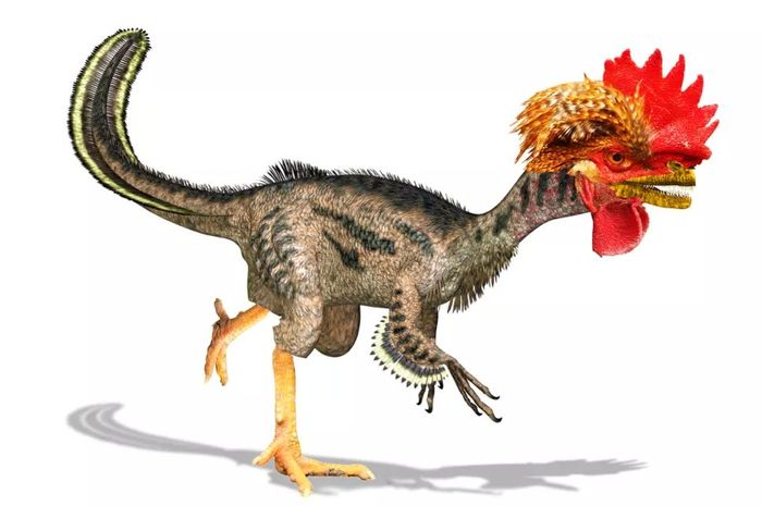 Peneliti Bikin Ayam Berwujud Dinosaurus, Chickenosaurus!
