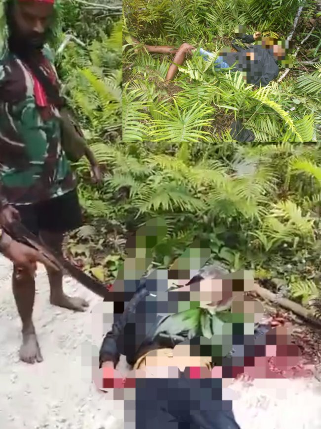 4 Pegawai RS Diserang KKB di Tambrauw, 2 Korban Selamat 2 Belum Diketahui Nasibnya