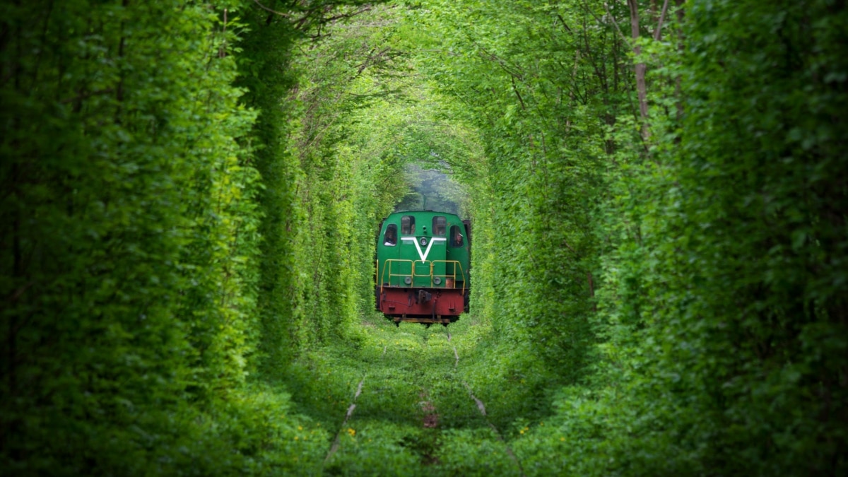 Tunnel of Love atau Terowongan Cinta, Ukraina. Tempat Indah Bagi Yang Dicandu Asmara.