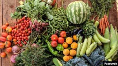 Vietnam Berambisi Jadi Penguasa "Dapur Dunia", RI Gigit Jari
