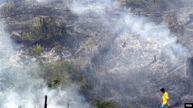 presiden-jokowi-perpanjang-moratorium-hutan