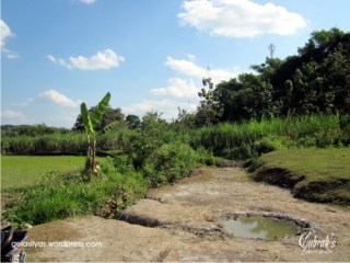 Air Asin di Tengah Daratan : Bagian kecil keunikan Wisata Purba Sangiran