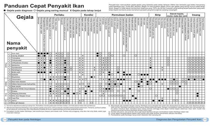 clinic-buat-tanya-jawab-penyakit2-ikan-hias