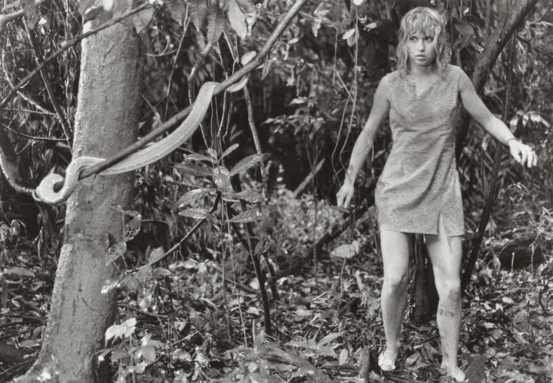 Juliane Koepcke “Solo Survivor” kecelakaan pesawat, hingga kengerian hutan rimba.