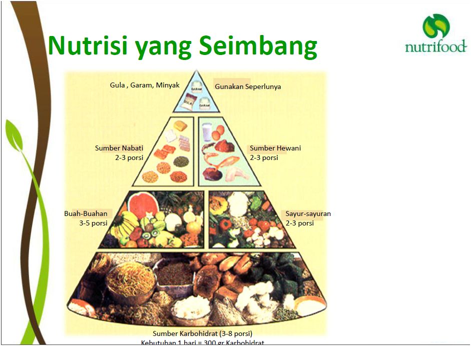 14 langkah memaksimalkan otak (spesial 14 th kaskus)