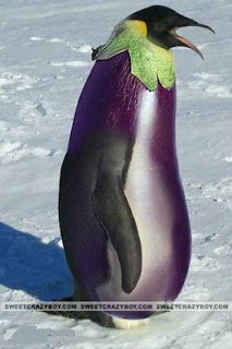 "UNGU" BAND Resmi Menambah PERSONIL BARU