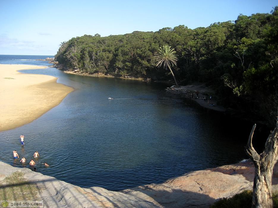 Royal National Park ,Taman Nasional Tertua Di Dunia