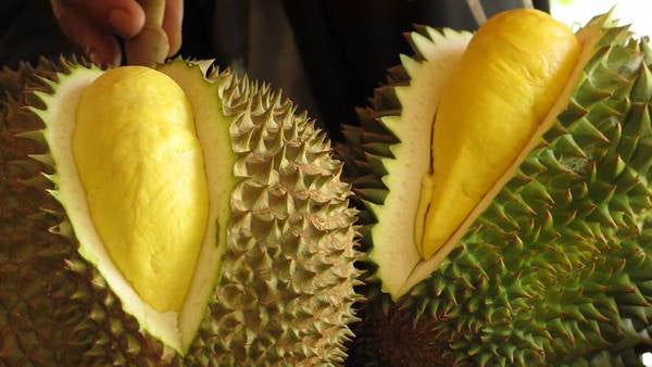 [TIPS] MENGOLAH DURIAN MENJADI LEBIH ENAK