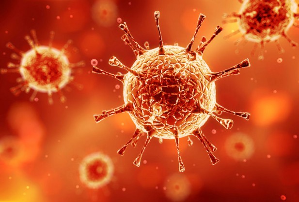 Viral! Ini Dia Makanan Penangkal Virus!
