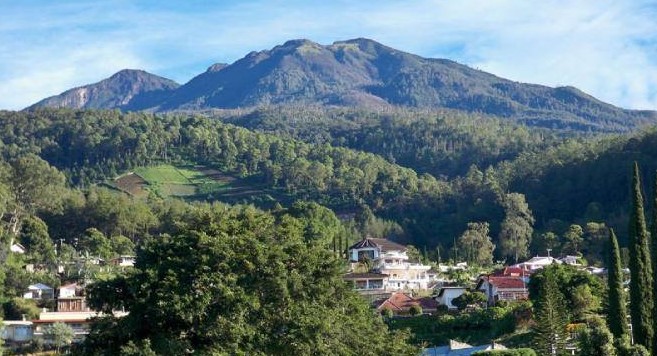 #BicaraKopi Ngawi Juga Punya Kopi Loh!, Selondo Namanya