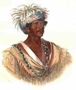 Cherokee, Sejarah Peradaban Suku Indian Muslim Amerika Yang Punah