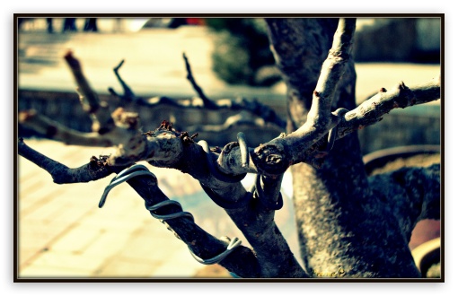 wallpaper bergaya vintage