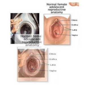 bupati-purwakarta--jangan-durhaka-pada-agama-asli-nusantara
