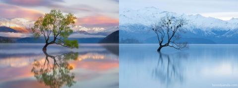 20 Foto Super Keren Sebelum & Sesudah Musim Salju