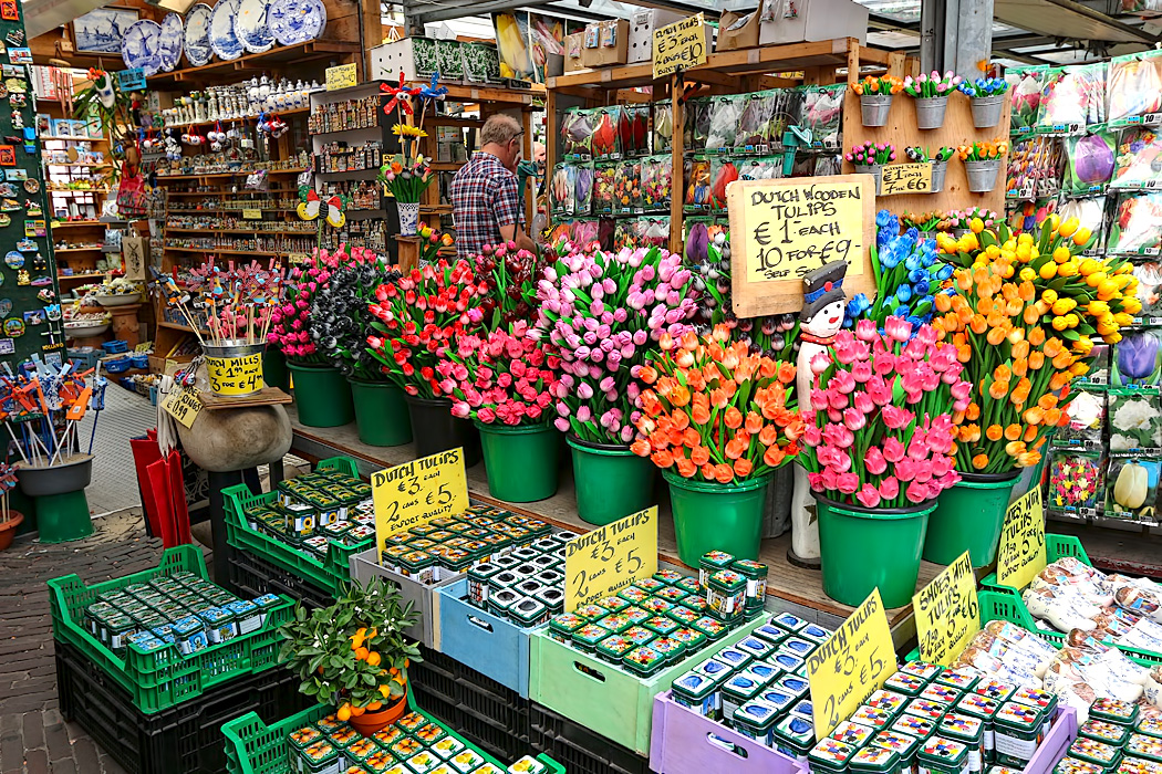 Indahnya Warna-Warni di Pasar Bunga Bloemenmarkt, Amsterdam