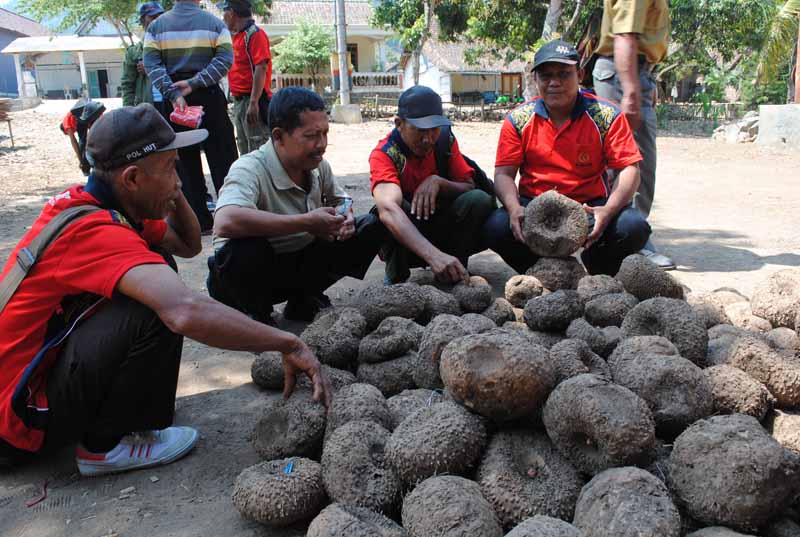 (TERGUNCAN) Mempertanyakan Sampai Dimanakah Bukti Prestasi Dahlan Iskan?