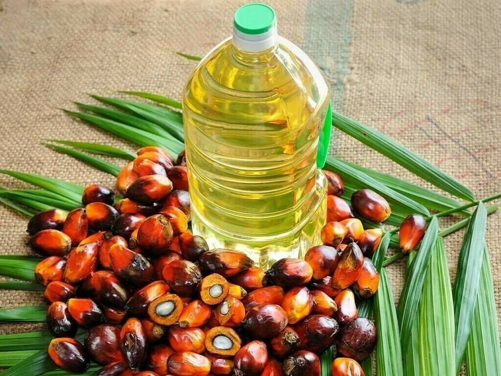 Indonesia's ban on palm oil exports a concern but impact to be transitory: