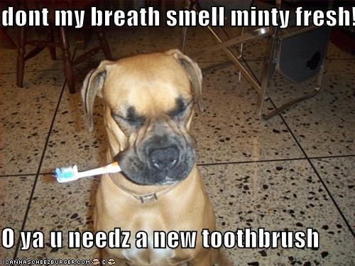 [MUST READ!] saat-saat dimana agan harus moveon dari sikat gigi agan