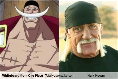 Inilah Karakter One Piece Yang Wajah Nya Mirip Dengan Orang Terkenal