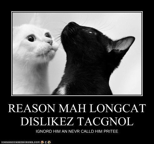 &#91;REBORN!!!&#93; Longcat, tacgnoL, Serious Cat IZ BACK (NGAKAK INSIDE!!!)