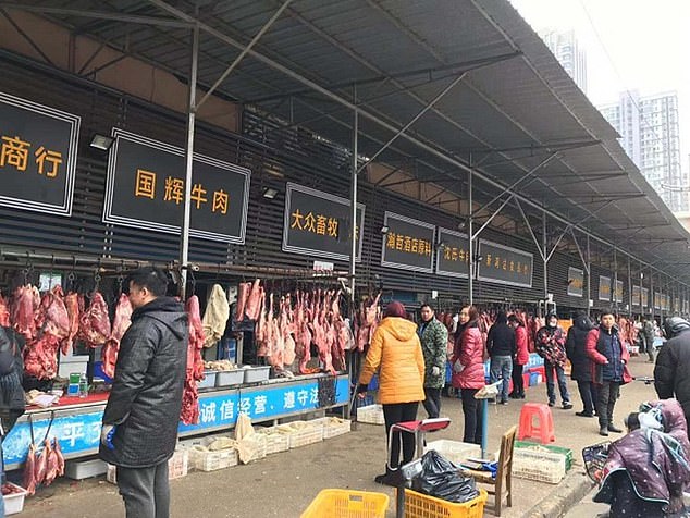  'Coronavirus did NOT come from animals in Wuhan market': Landmark study suggests
