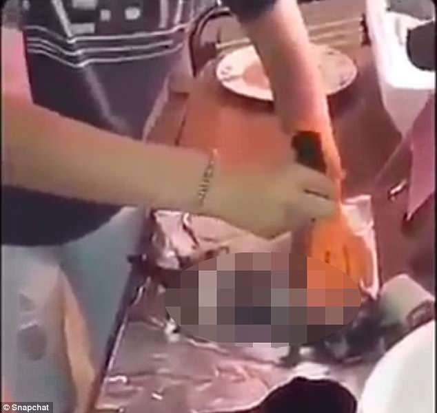 Wanita Ini Menyiksa Anak Kucing Hingga Mati Dan Mengunggahnya Di Snapchat