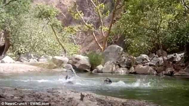 Niat Ingin Merekam Dirinya Saat Berenang Di Sungai, Tapi Yang Terekam Malah Ini