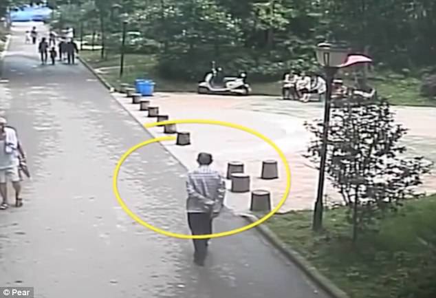 Pria Tua Renta Ini Mengalami Nasib Sial Saat Sedang Berjalan-jalan Di Taman Di Cina