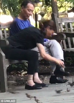 Wanita Ini Menjadi Viral Karena Menangkap Burung Gereja Di Taman